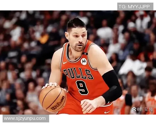 尼古拉武切维奇的传奇人生与篮球梦想的追寻之路