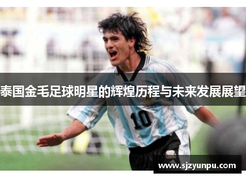 泰国金毛足球明星的辉煌历程与未来发展展望