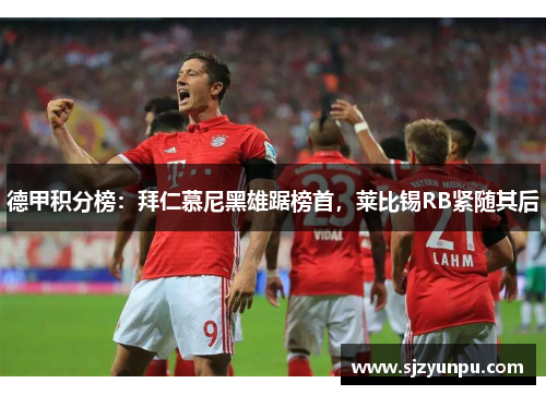德甲积分榜：拜仁慕尼黑雄踞榜首，莱比锡RB紧随其后